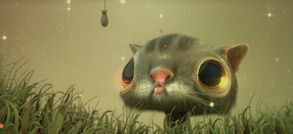 Fishy Cat, rendered on blender.farm